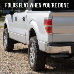 Ford F-150 2006-2014 Bed Step
